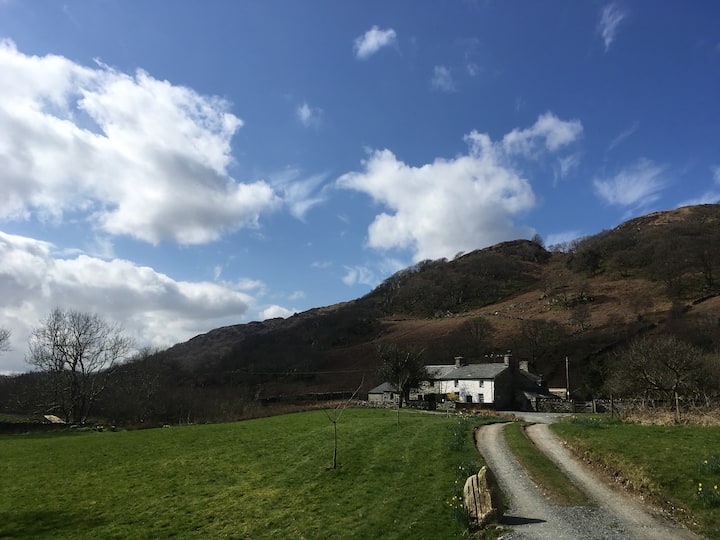 Warm And Peaceful Snowdonia Cottage - 北威爾斯
