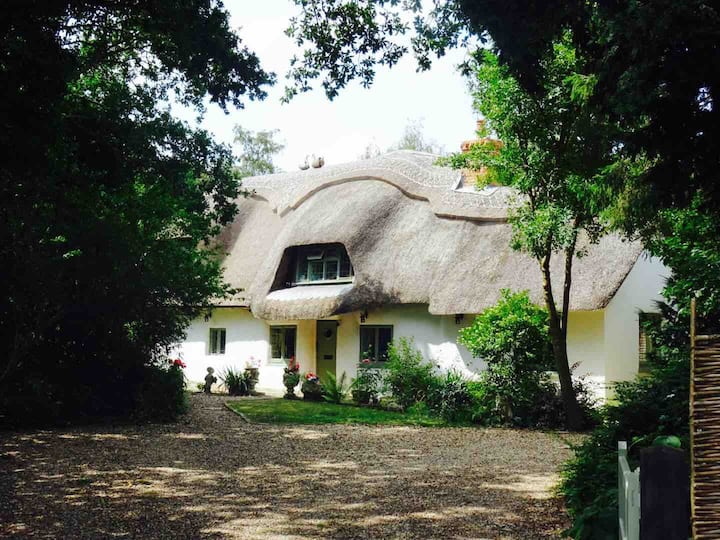 Picture Postcard Thatched Cottage In The Forest - Barton on Sea