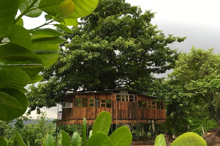 Jungle Treehouse By The River - Kolad