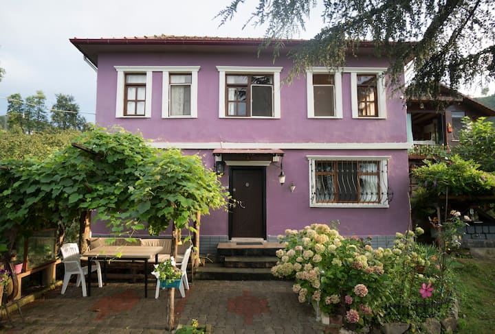 Villa Banizo  Great Black Sea View Village House - Trabzon Il, Türkiye