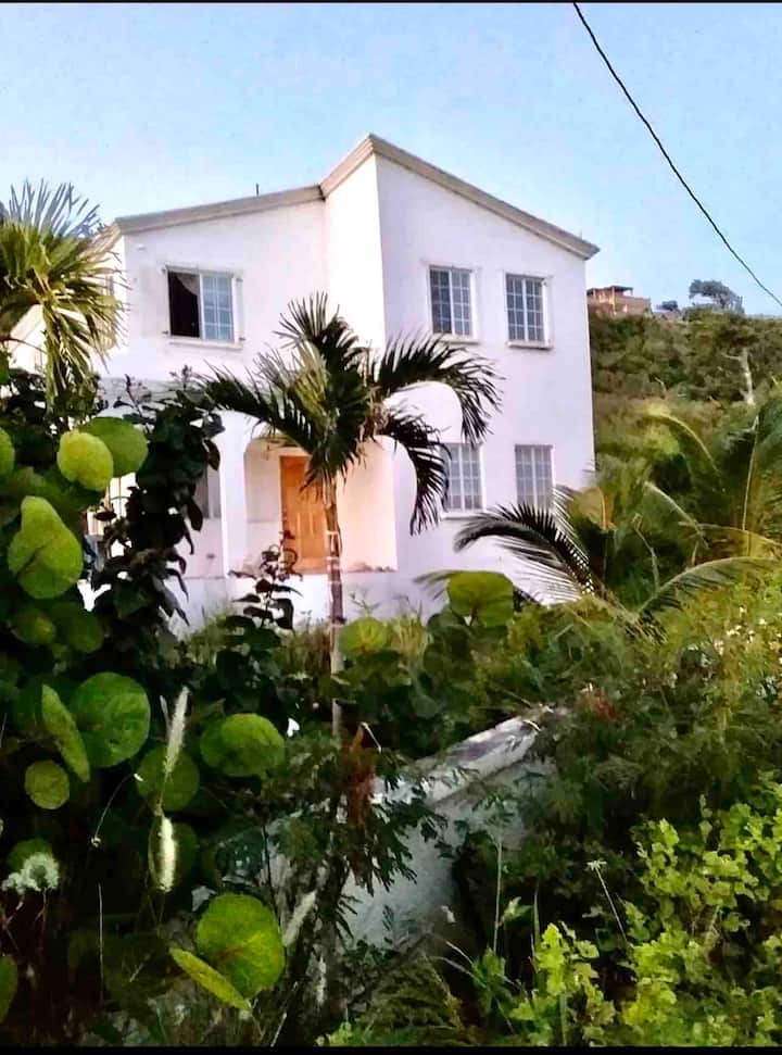 Secluded House On Private Beach - Anguilla