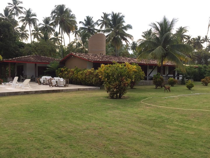 クラブメッドイタパリカの隣のビーチハウス - ブラジル サルヴァドール