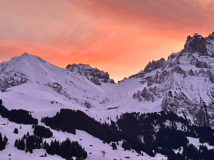 Berg Oase Mit Kamin &Spektakulärer  Aussicht - Adelboden