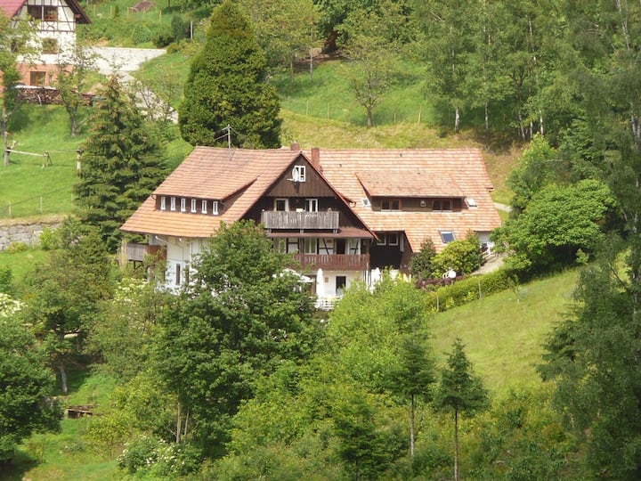 Traumhafte Ferienwohnung Im Schwarzwald - Seebach