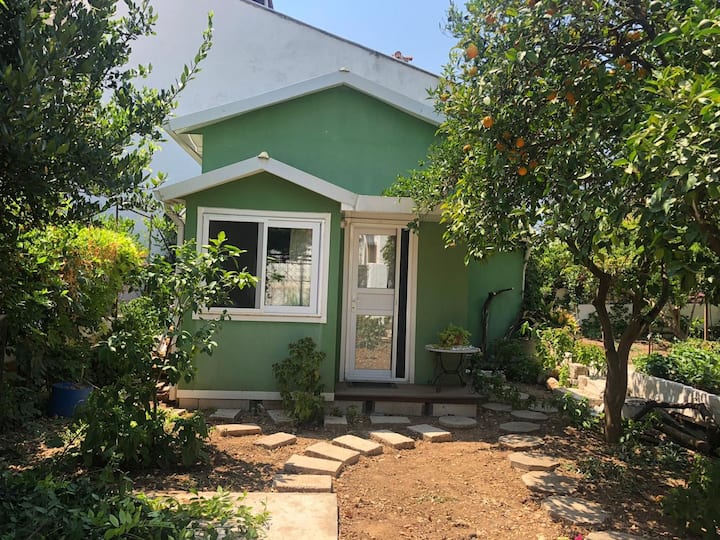 Akyaka'nın Merkezinde Bir Tiny House: Yeşil Ev - Gökova