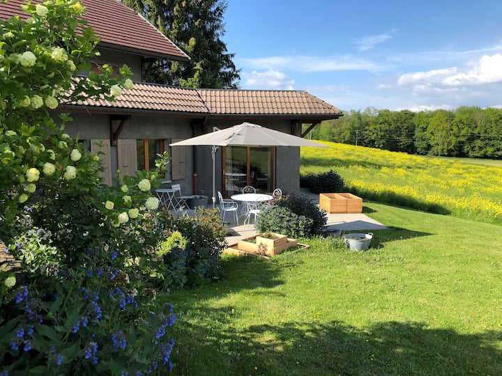 Gîte De Charme/lovely Lodge - Close To Annecy - Epagny