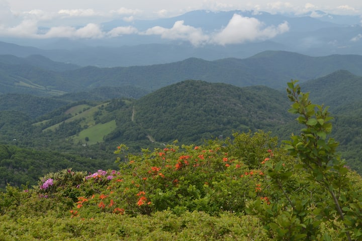 Green Earth Mountain Retreat In The High Country - Roan Mountain, TN