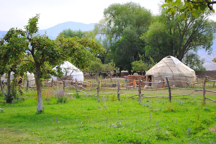 Holiday In Yurt Camp All Year Long Almaluu - Kirghizistan