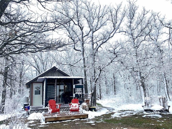 Unplug At Cozy Guest Cabin & Nature Retreat - Landmark