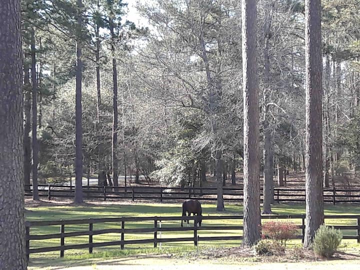Carriage House Hideaway - A Quiet Place - South Carolina