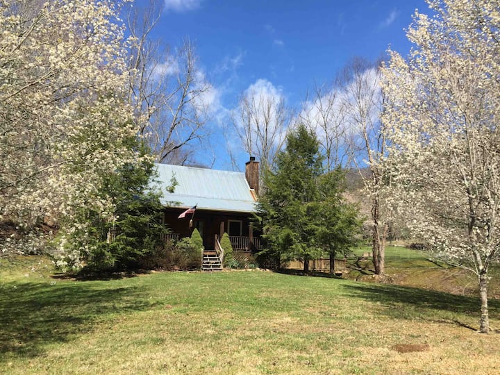 Cottage · Cozy Cottage For Work & Play! - Weaverville, NC