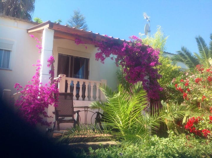 Small, Peaceful Country House With Nice Views,pool - Chiva