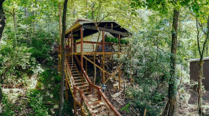 The Roost, 
Glamping At Large, Up! With The Trees. - Signal Mountain, TN