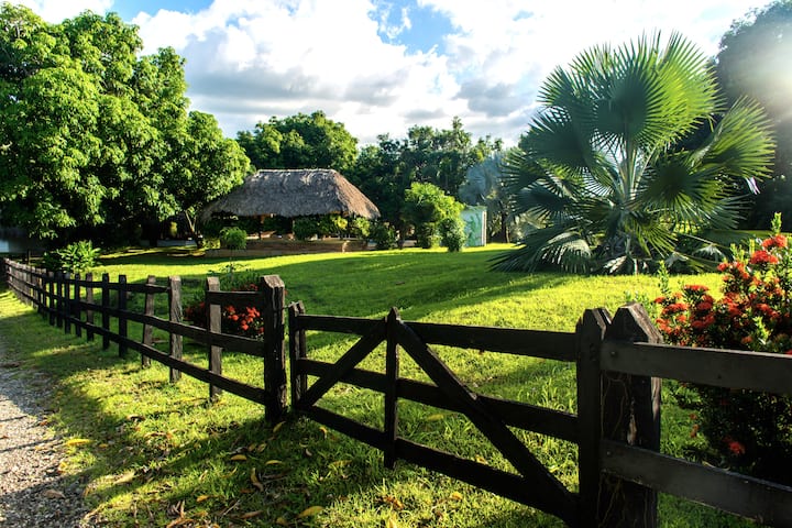 Farm Sanctuary With Pool, Cows And Natural Reserve - Planeta Rica