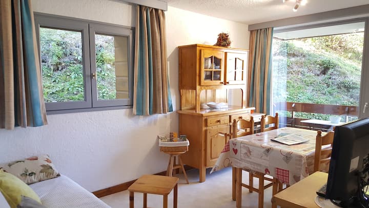 Appartement Entier Meublé,4 Personnes Mont Dore 63 - Puy de Sancy