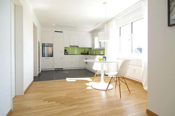 Modernes Designer-apartment, 2.5 Zimmer - ヴィンタートゥール