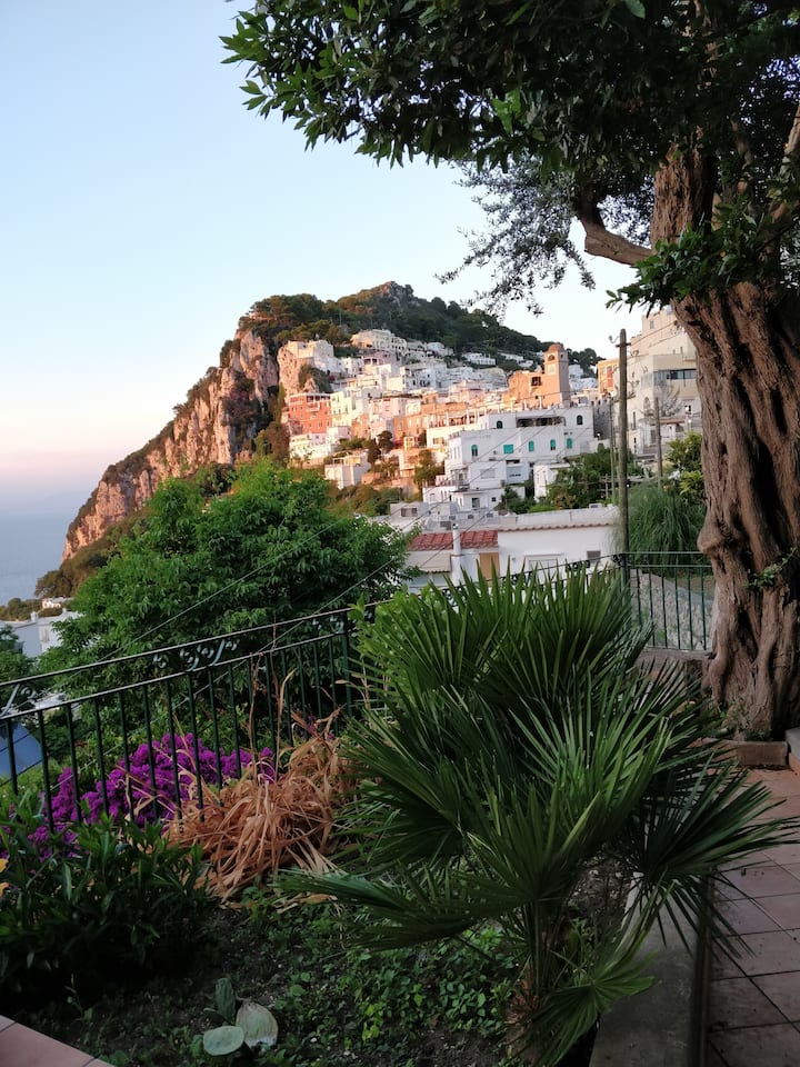 Casetta Mirenè - Isola di Capri