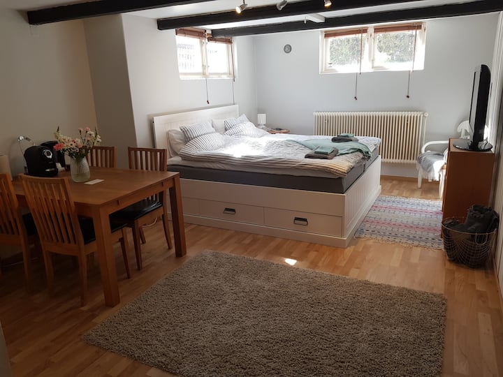 Private Room With Own Entrance And Bathroom. - Helsingborg
