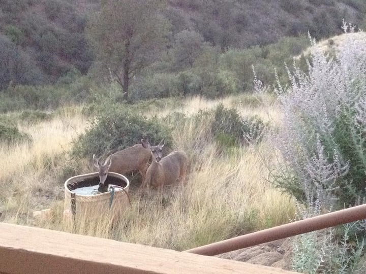 Prescott Views- Wildlife- Relaxation- 360 Views - Prescott Valley, AZ