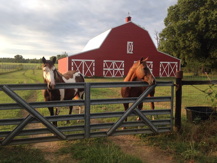 Farm Stay In Diamond Country: Sweethome Farms - Arkansas