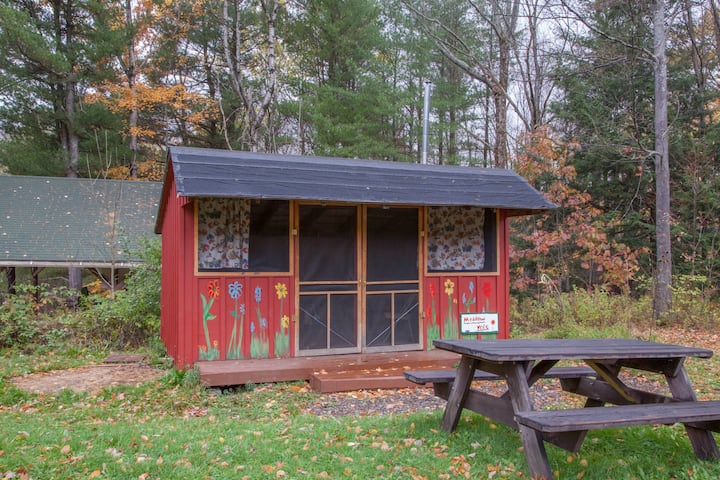 Rustic Camping Cabin W/electric & Wifi - Dryden, NY