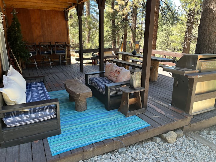 Log Cabin: “Cozy Guest Suite” - Pine Mountain Club, CA