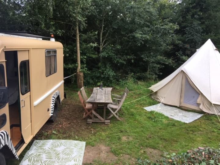 Oldtimer Safari Camper En Canvas Tent In De Natuur - Deventer