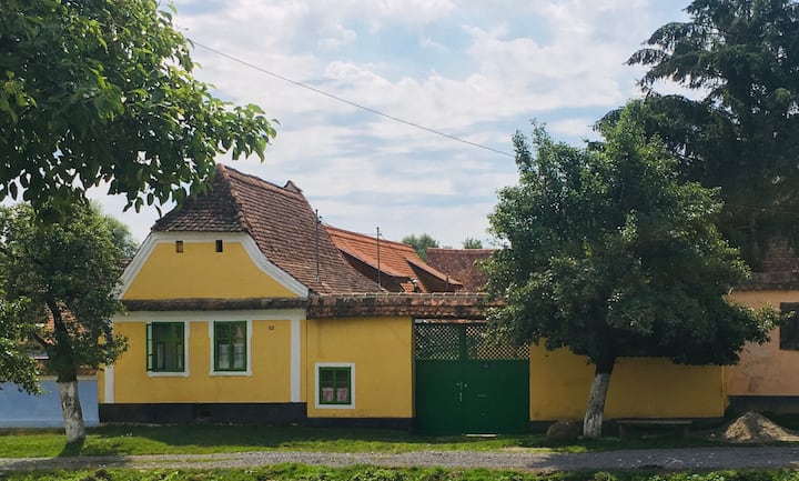 Lovely Old Transylvanian Cottage, Room 1 - Homorod