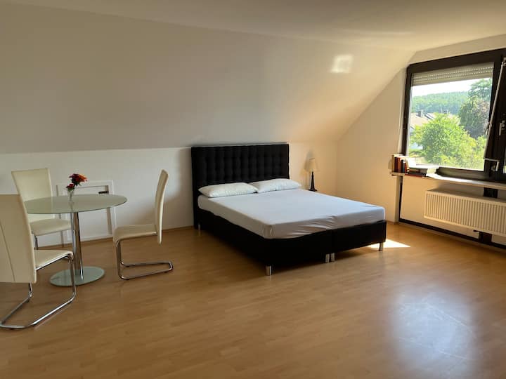 Cozy Room In Big Flat - Erlangen