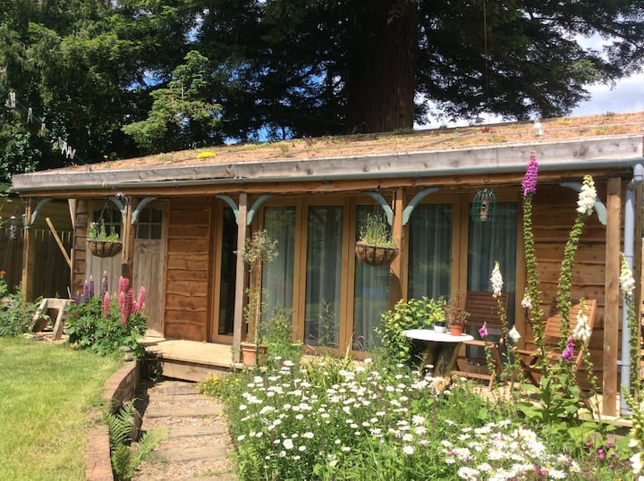 The Cabin- Quiet Self-contained Near River Central - Totnes