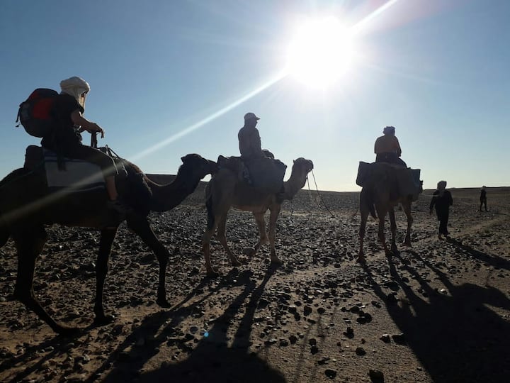 Camp And Camel Trek In Desert M'hamid Sahara Peace - Ouarzazate