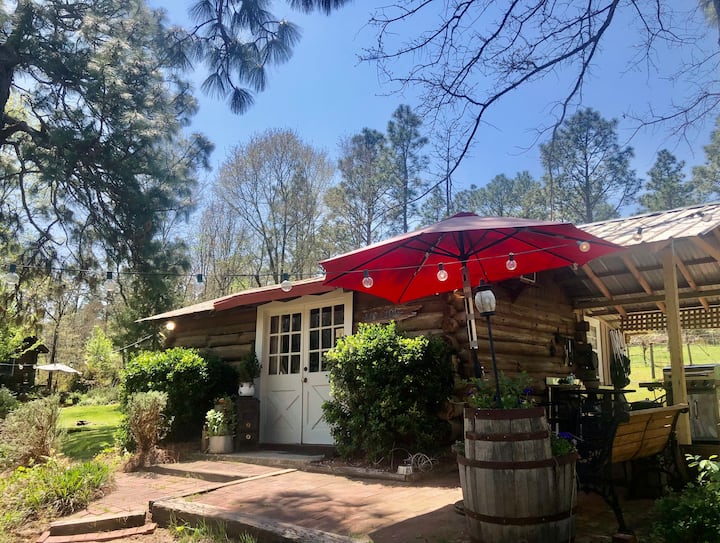 Congaree Vines - Rustic Log Cabin On A Vineyard! - South Carolina