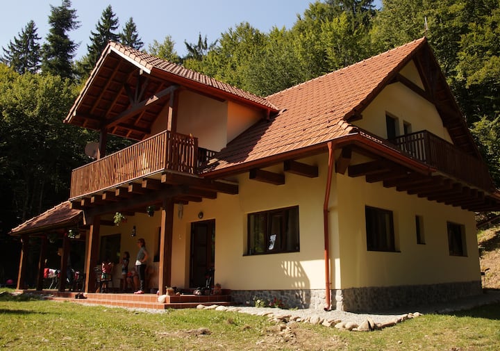 Cabana Căprioara,6 Beds Forest Villa, Transylvania - Avrig