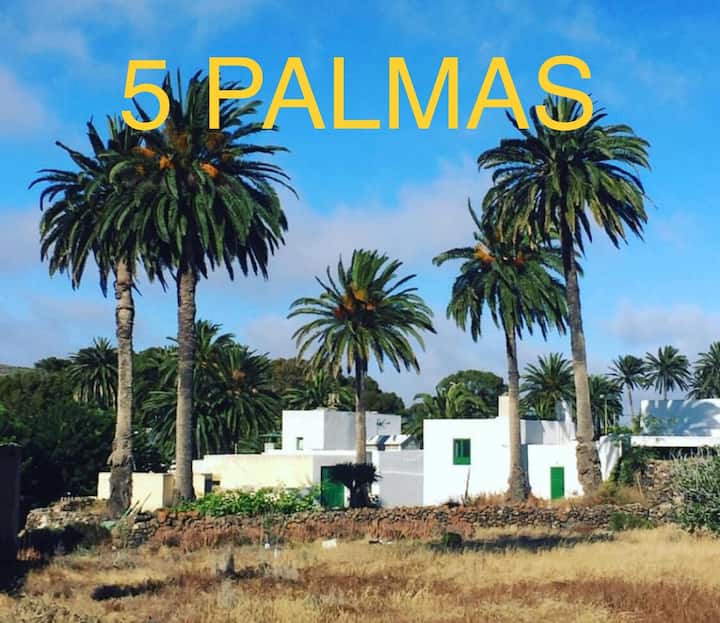 5 Palmas - A Guest House In Haria - La Graciosa