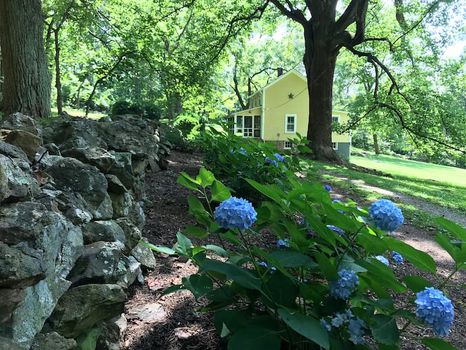 Middleburg, VA Holiday Apartments and Self Catering cozycozy