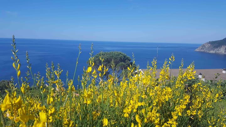 Sea View Near 5 Terre & Portofino - Moneglia
