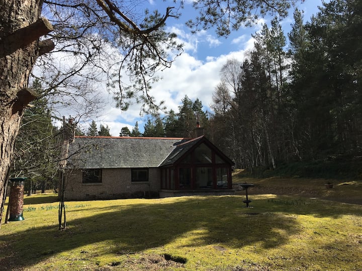 Cottage In The Woods - Aberdeenshire