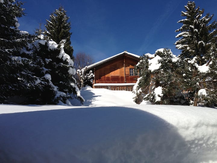 Cosy Traditional Swiss Chalet Near By Gstaad - Rougemont