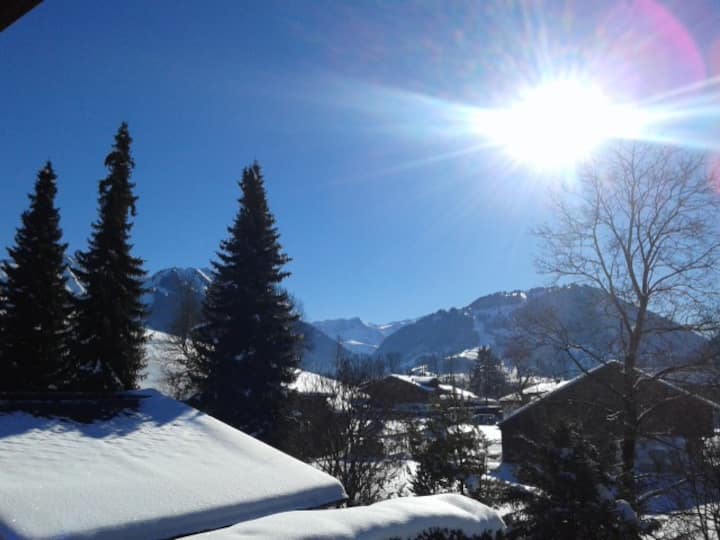 Sunny 2 Bedroom Flat With View In Gstaad - Gstaad