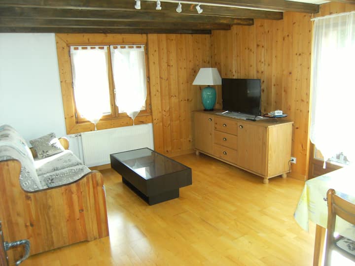 Appartement  Style Chalet  Avec  Sauna Et Terrasse - Passy