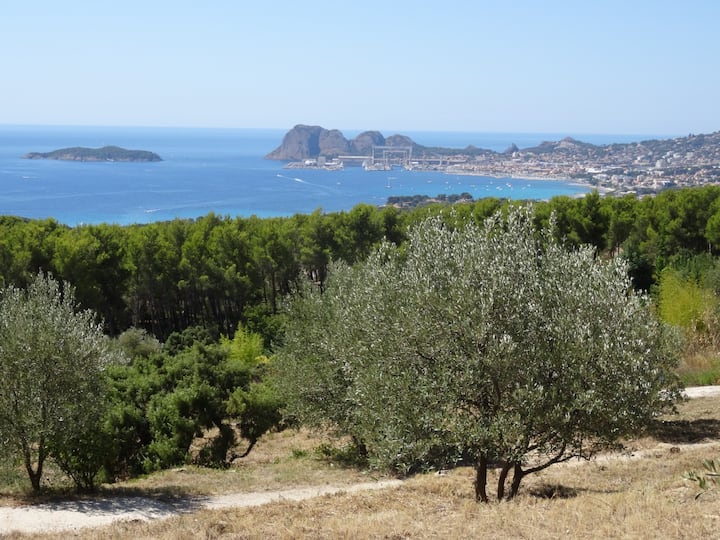 L'olivandière: Logis De Charme, Hauts De La Ciotat - Ceyreste
