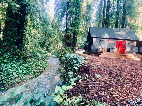 Explore cabin experience near Jenner, CA on