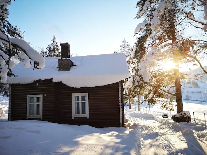 Cosy Cottage "Halvorhytta" - Noruega