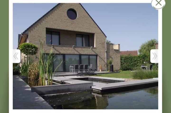 Barebeek Sweet Home **** - Steenokkerzeel