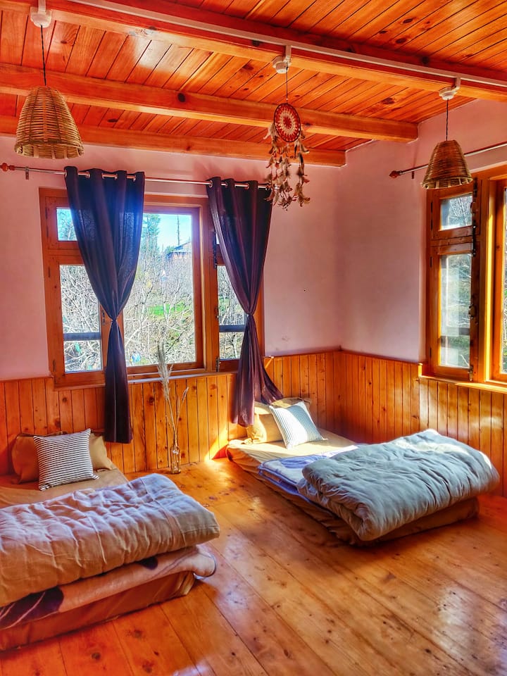 Rustling Pines Dorm | Offbeat + Lounge & Kitchen - Himachal Pradesh