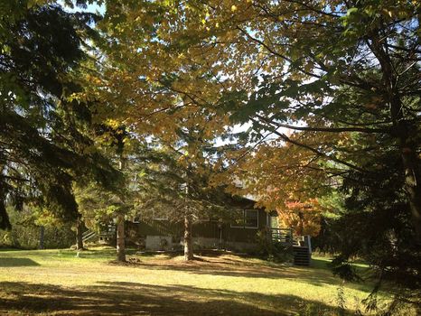 Negwegon State Park, Ossineke airbnb, hotels and vacation rentals