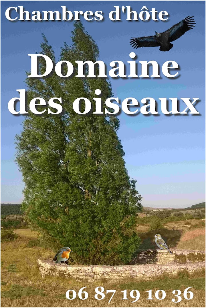"Au Domaine Des Oiseaux" - Sainte-Énimie