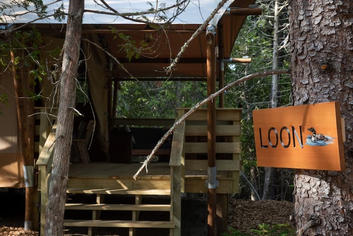 Loon Tent, Woods Of Eden Glampground, Acadia. - Maine