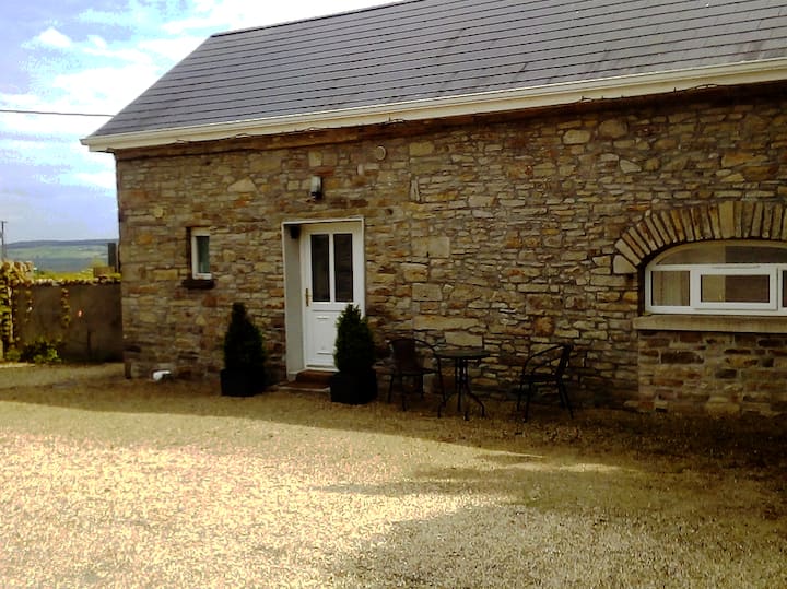 Modern Clean Apartment Cottage Home House Roscrea - County Offaly