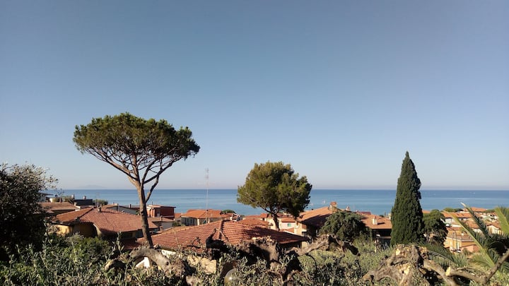 Olive Tree House With Sea View! - Castiglione della Pescaia
